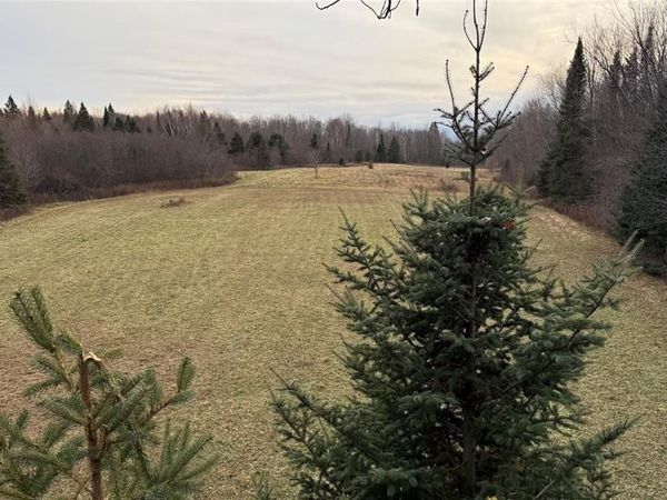 80+/- Acres Off South Park Road, Butternut, WI 54514