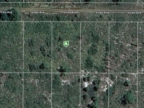 222 VIREO AVENUE , SEBRING, FL 33870