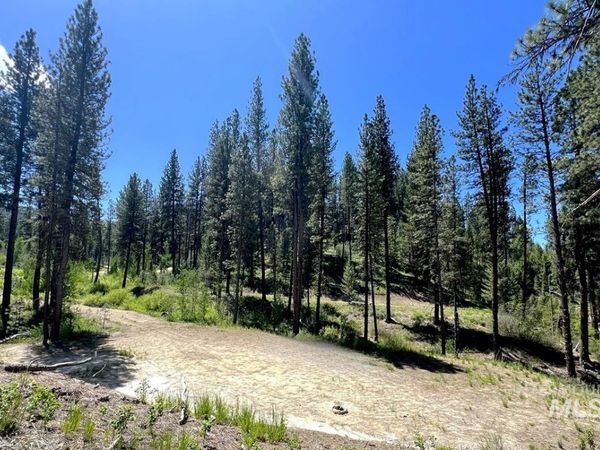 L16 B1 Shaw Gulch Road, Idaho City, ID 83631
