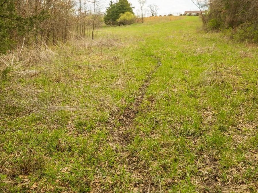 Property Image 36
