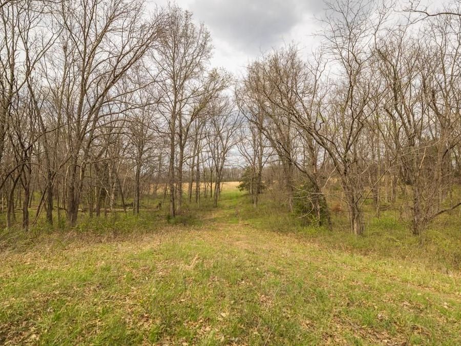 Property Image 53