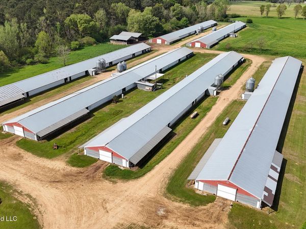 6620 Adams Road, Smithdale, MS 39664