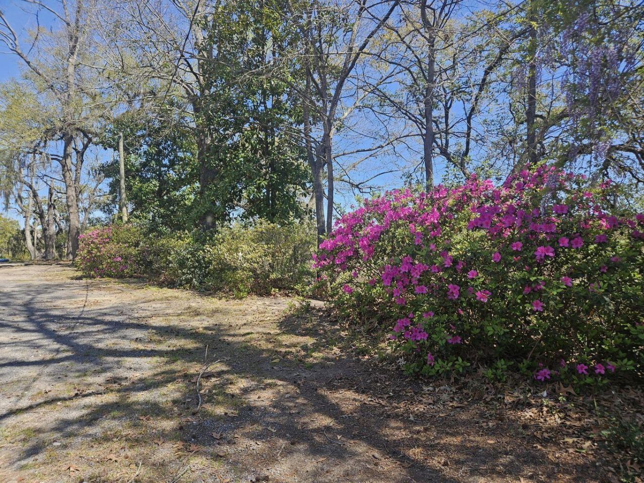 2340 Ashley River Road  Photo 10