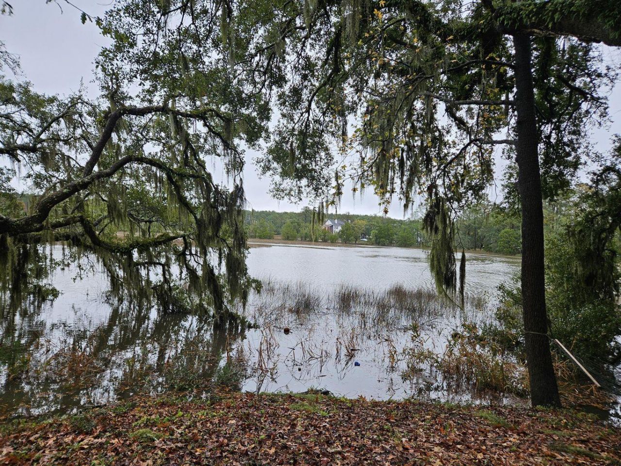 2340 Ashley River Road  Photo 13