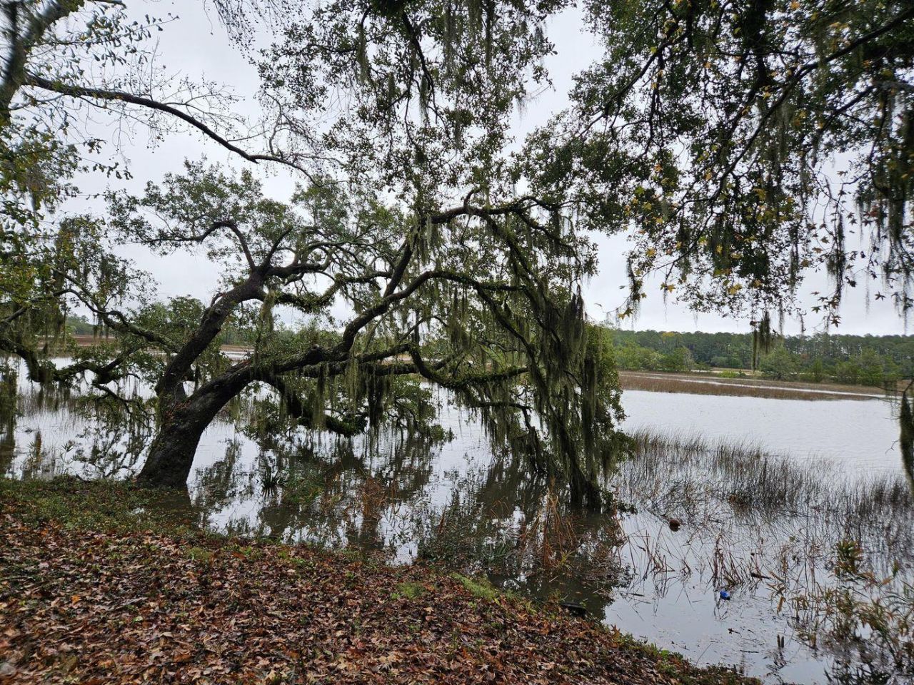 2340 Ashley River Road  Photo 15