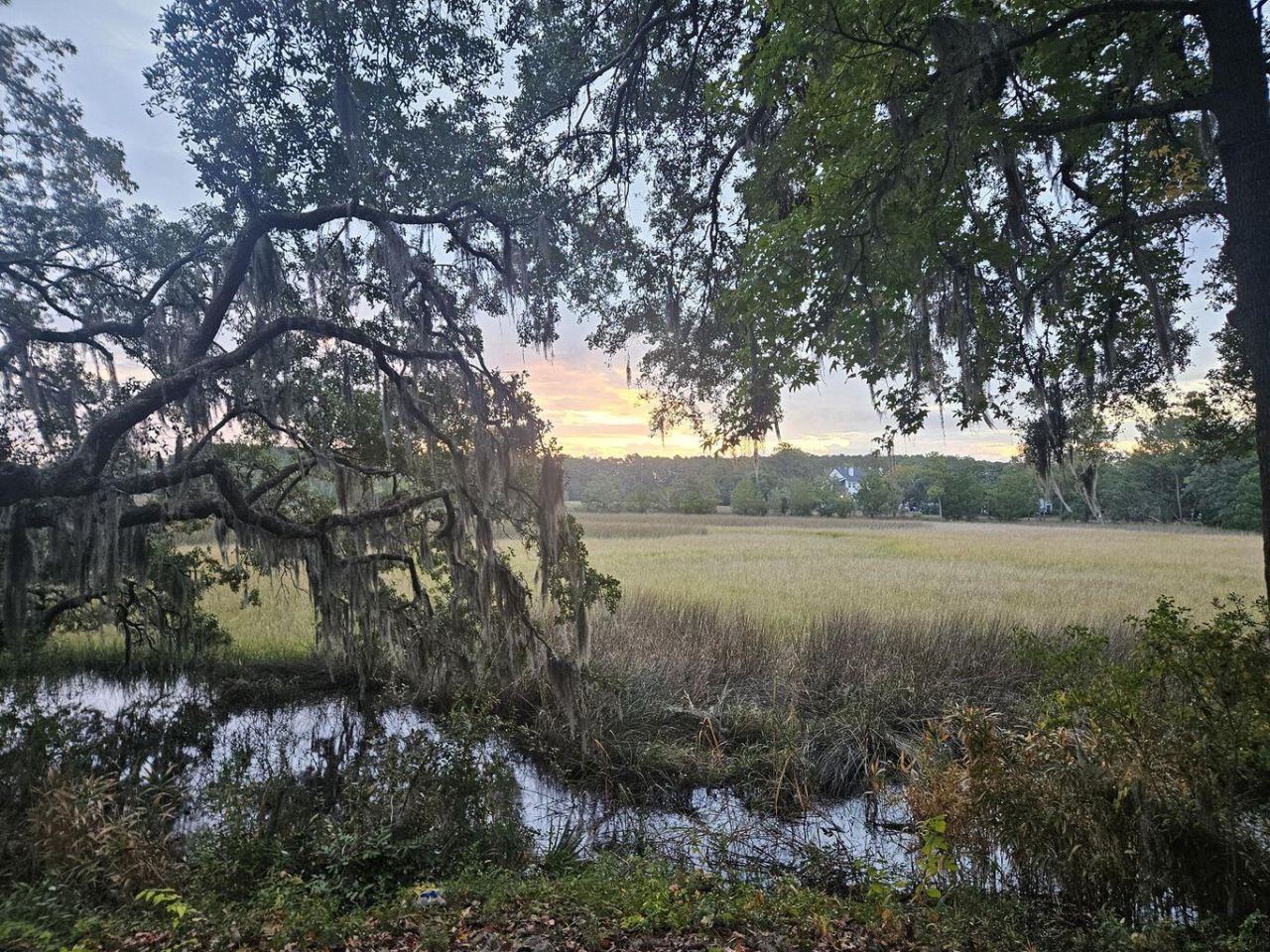 2340 Ashley River Road  Photo 16