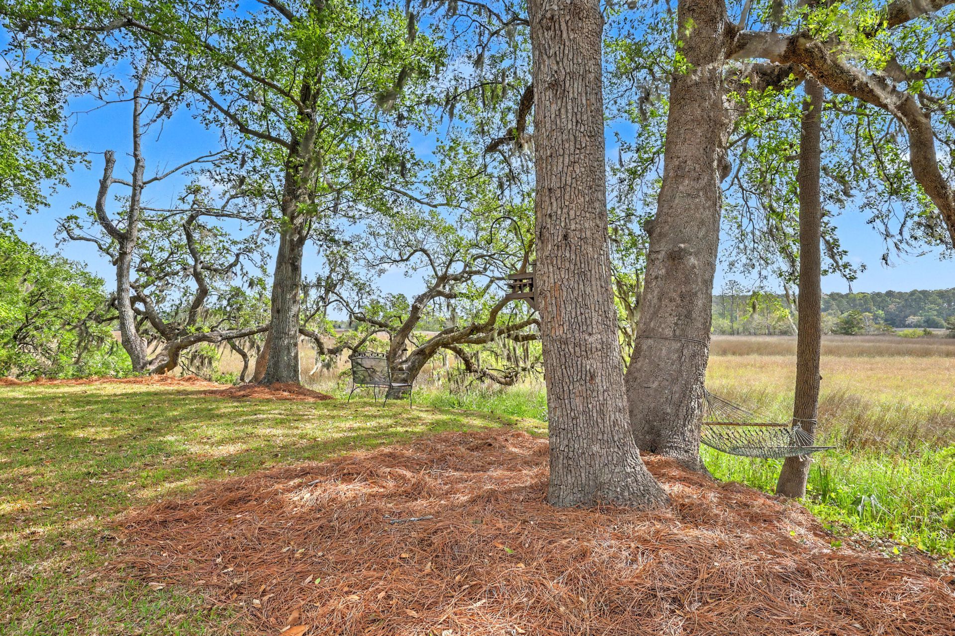 2340 Ashley River Road Photo 37