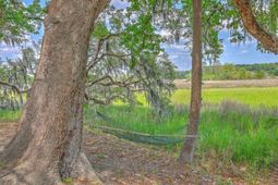 2340 Ashley River Road  photo 4