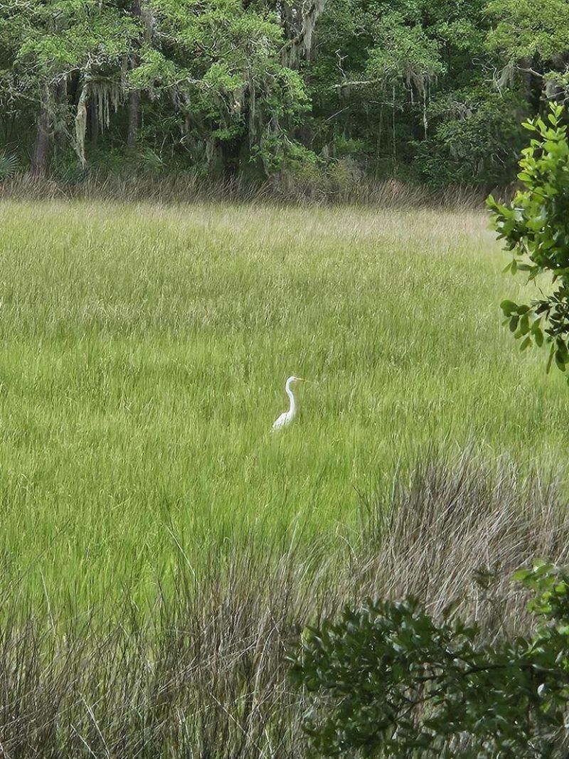 2340 Ashley River Road  Photo 8