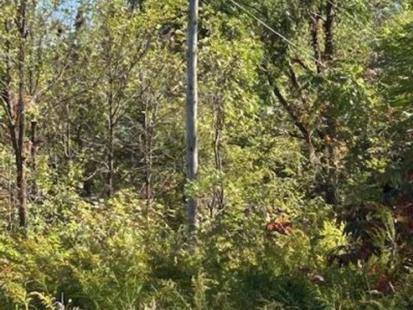 7300 Pontiac Trail, South Lyon, MI 48178