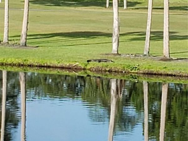 5709 AVISTA DRIVE , Unit 4108, SARASOTA, FL 34243