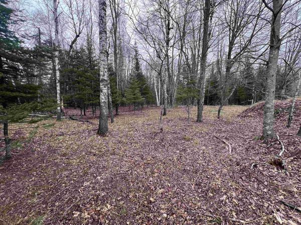 NEJEDLO ROAD, Wausaukee, WI 54177