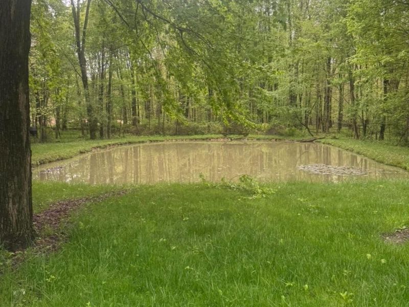 4135 Township Road 21, Marengo, OH 43334 Photo 10