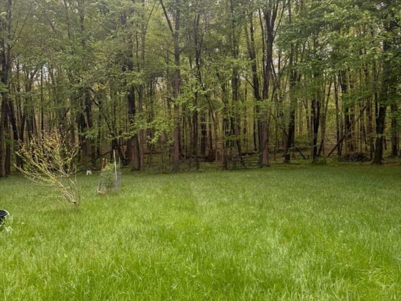 4135 Township Road 21, Marengo, OH 43334 Photo 12