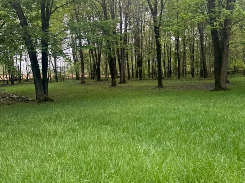4135 Township Road 21, Marengo, OH 43334 Photo 14