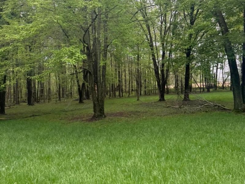 4135 Township Road 21, Marengo, OH 43334 Photo 15
