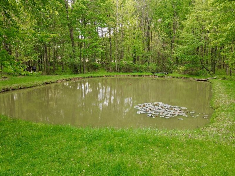 4135 Township Road 21, Marengo, OH 43334 Photo 8