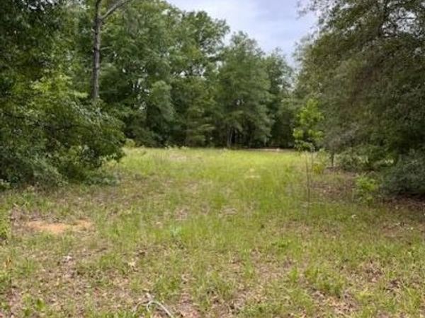 0 MILTON Avenue, Interlachen, FL 32148