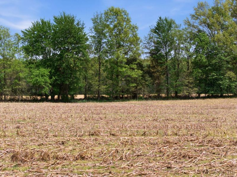 10559 Dixon Road, Jackson Twp, OH 45697 Photo 28