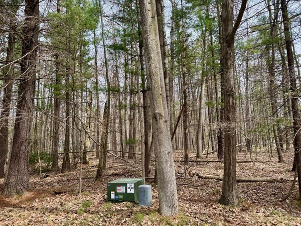 6810 E Clubhouse Drive, Unit 142, Canadian Lakes, MI 49346