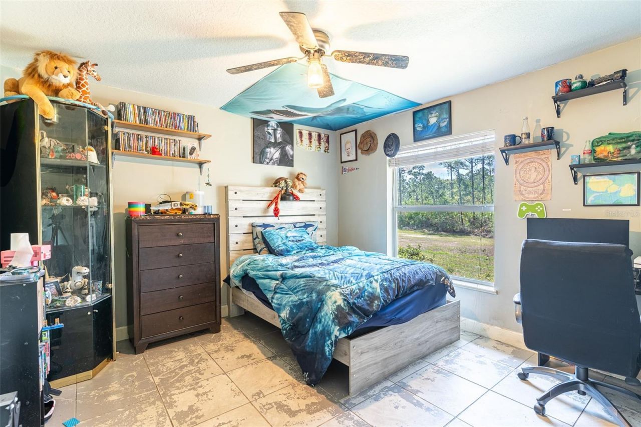 1019 Dearing Street, Lake Placid, FL 33852 Photo