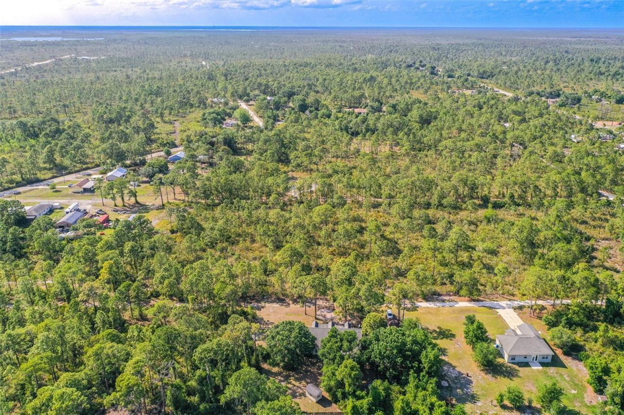 1019 Dearing Street, Lake Placid, FL 33852 Photo