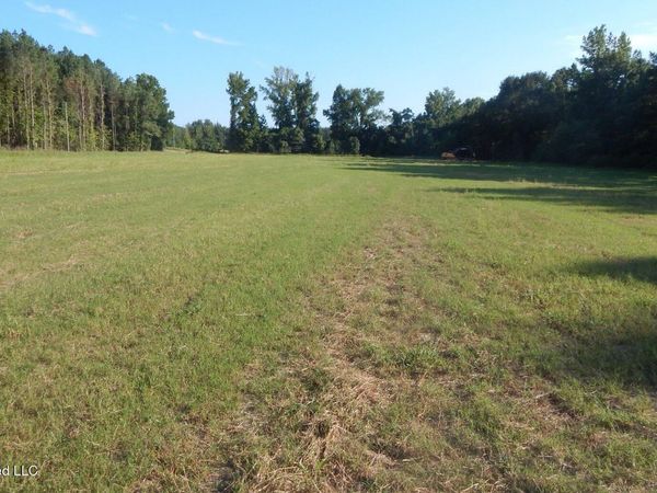 565 County Road 247 Country Road, Bruce, MS 38915