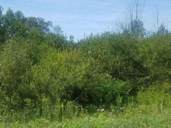 V/L S Marlene Street, Unit Lot 16, Rothbury, MI 49452