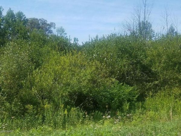 V/L S Marlene Street, Unit Lot 17, Rothbury, MI 49452