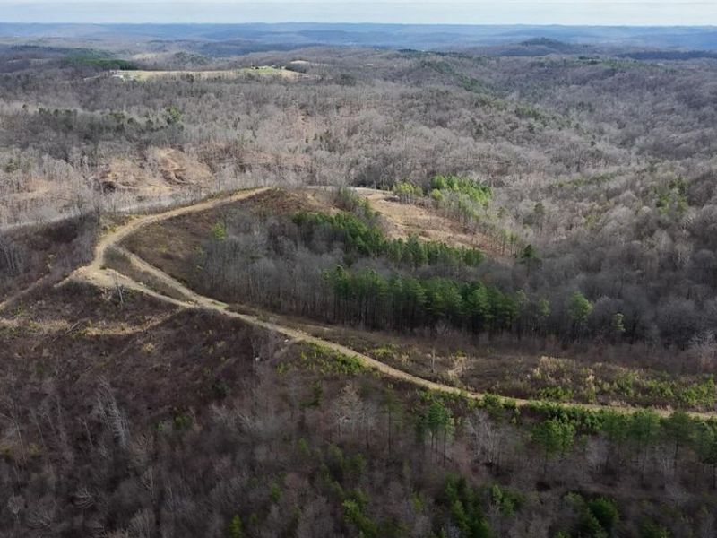 28757 Sharon Hollow Road, Portland, OH 45771 Photo 2