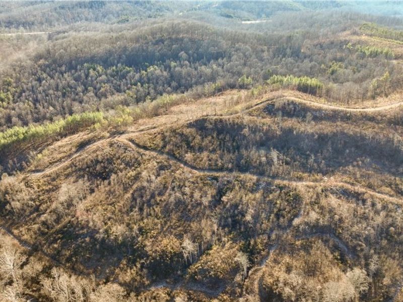 28757 Sharon Hollow Road, Portland, OH 45771 Photo 6