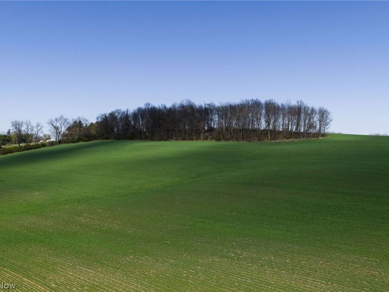 Moreland Rd , Wooster, OH 44691 Photo 7