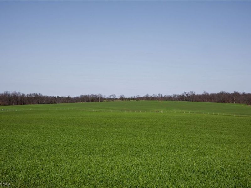 Moreland Rd , Wooster, OH 44691 Photo 2