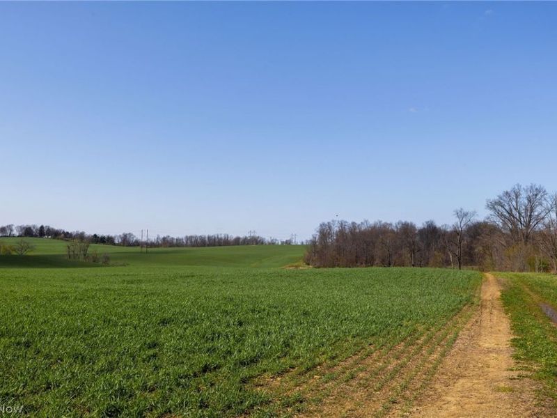 Moreland Rd , Wooster, OH 44691 Photo 12