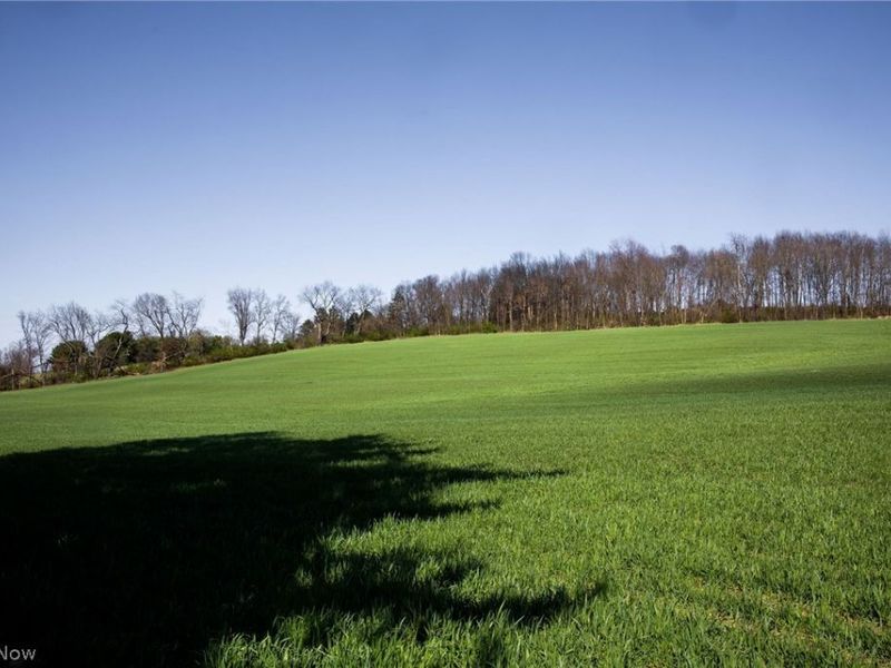 Moreland Rd , Wooster, OH 44691 Photo 8