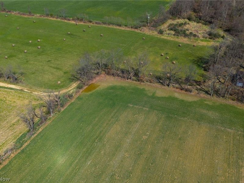 Moreland Rd, Wooster, OH 44691 Photo 6