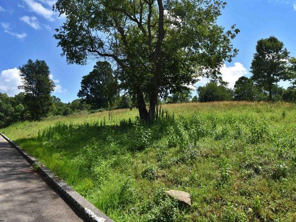 Lot 46 Carlson Drive, Grafton, WV 26354