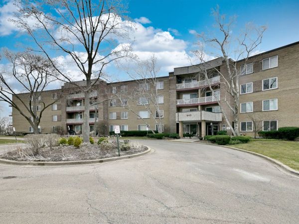 945 E Kenilworth Avenue , Unit 312, Palatine, IL 60074