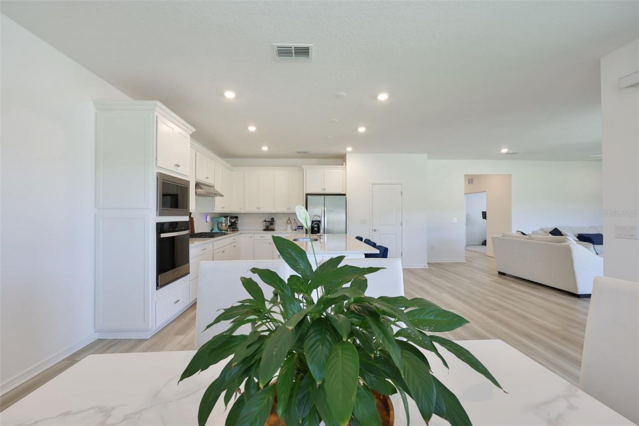 3070 Forest Meadow Avenue, Valrico, FL 33594 Photo
