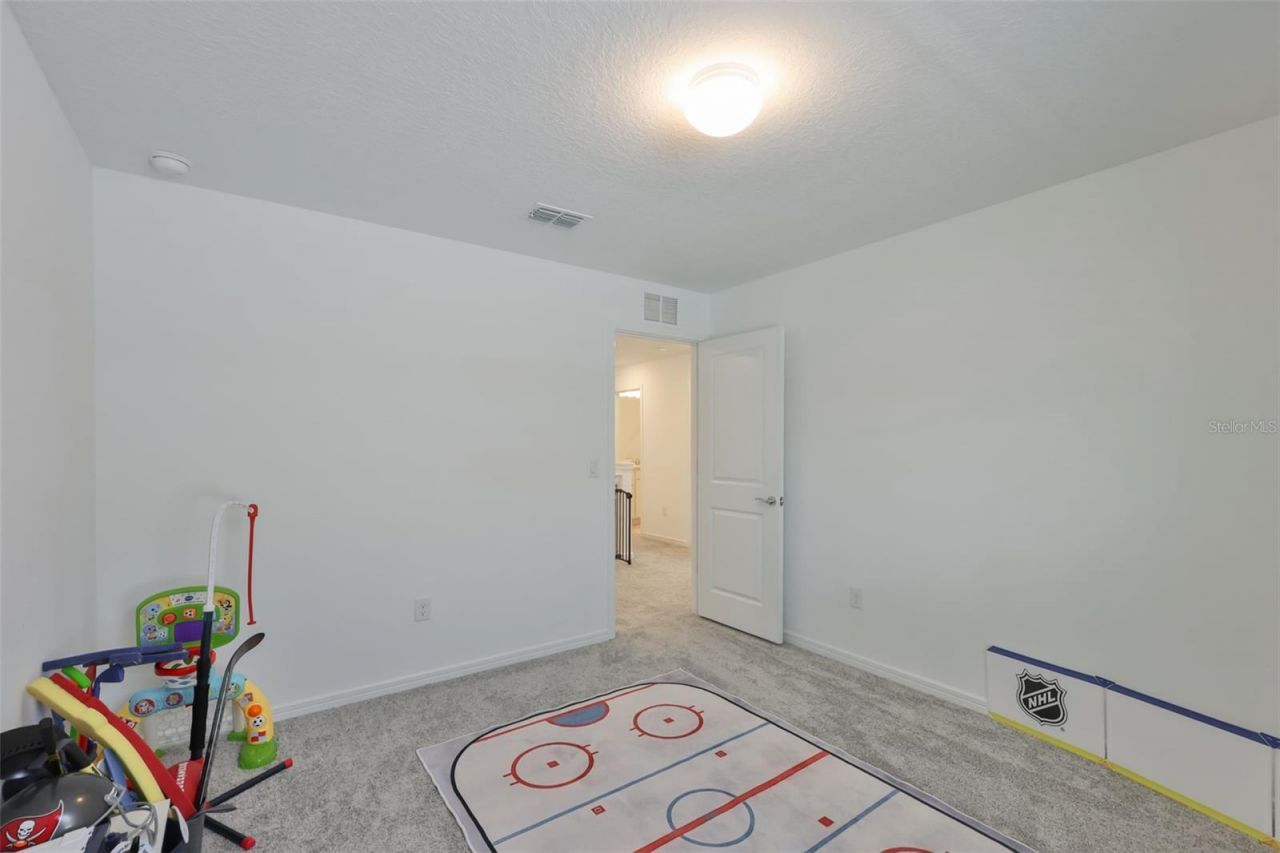 3070 Forest Meadow Avenue, Valrico, FL 33594 Photo
