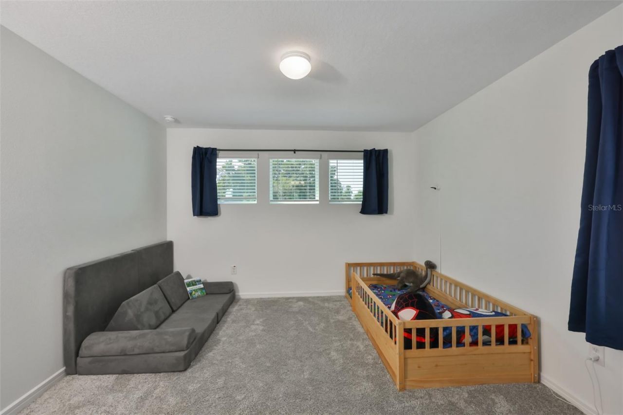 3070 Forest Meadow Avenue, Valrico, FL 33594 Photo