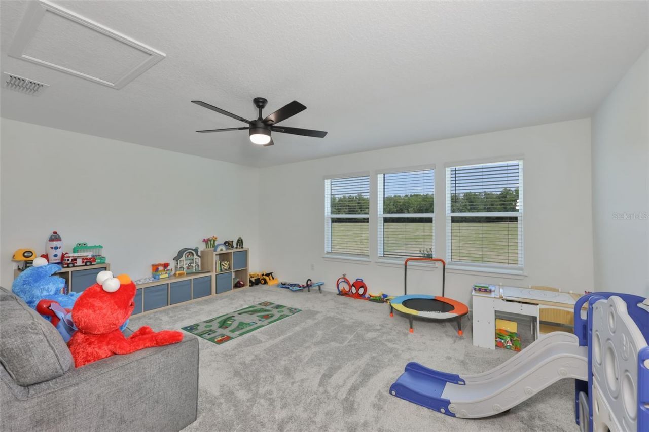 3070 Forest Meadow Avenue, Valrico, FL 33594 Photo