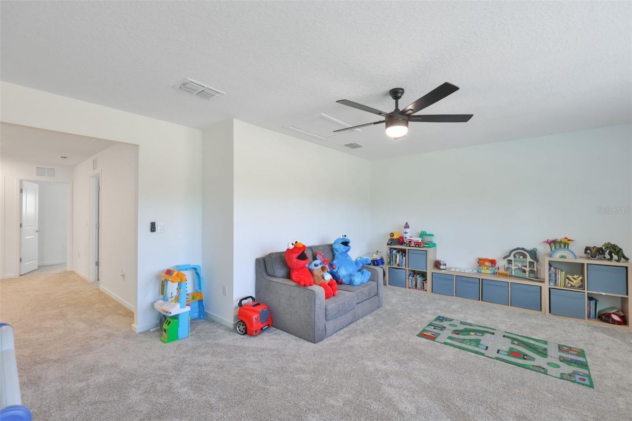 3070 Forest Meadow Avenue, Valrico, FL 33594 Photo