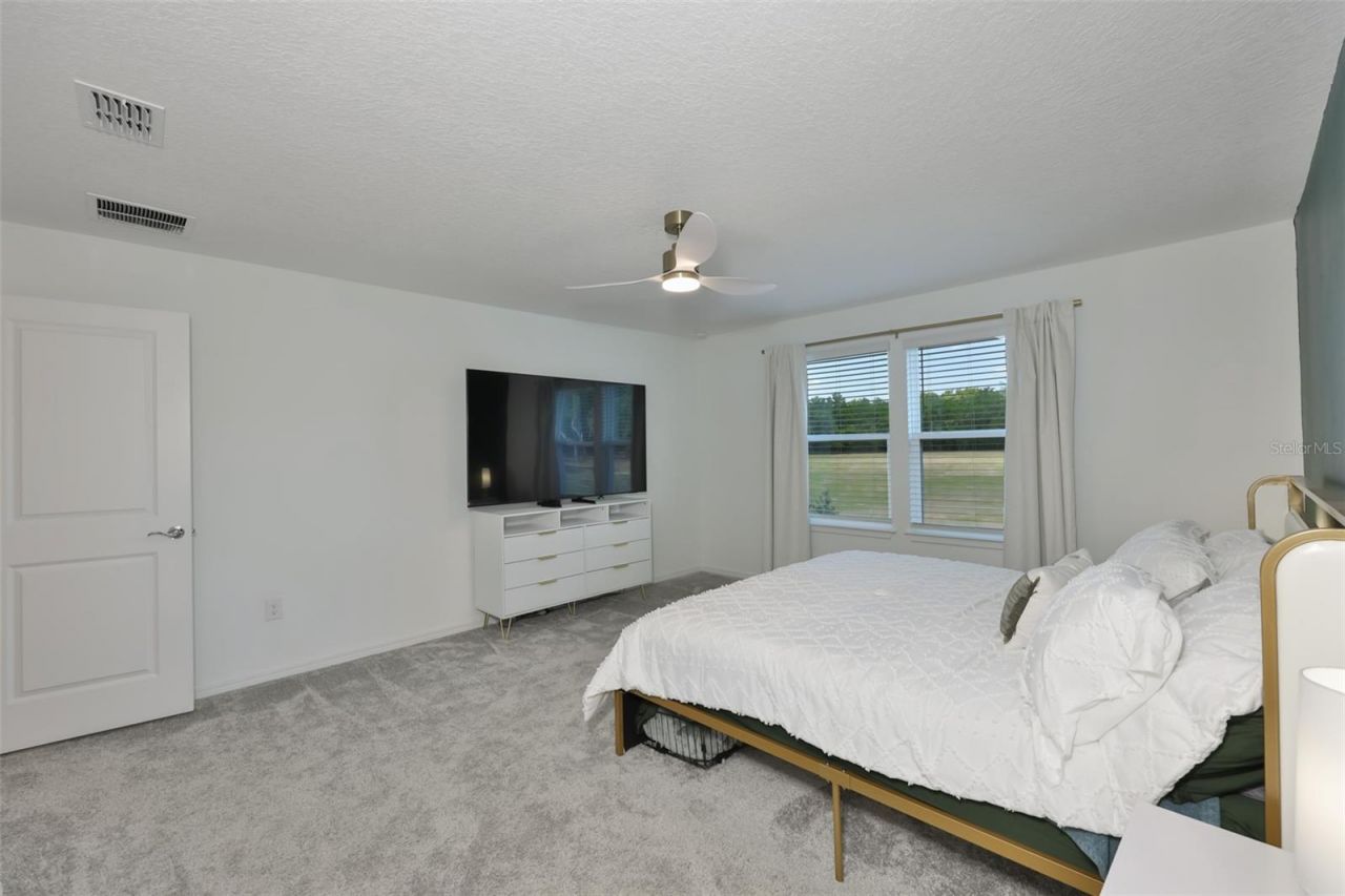 3070 Forest Meadow Avenue, Valrico, FL 33594 Photo