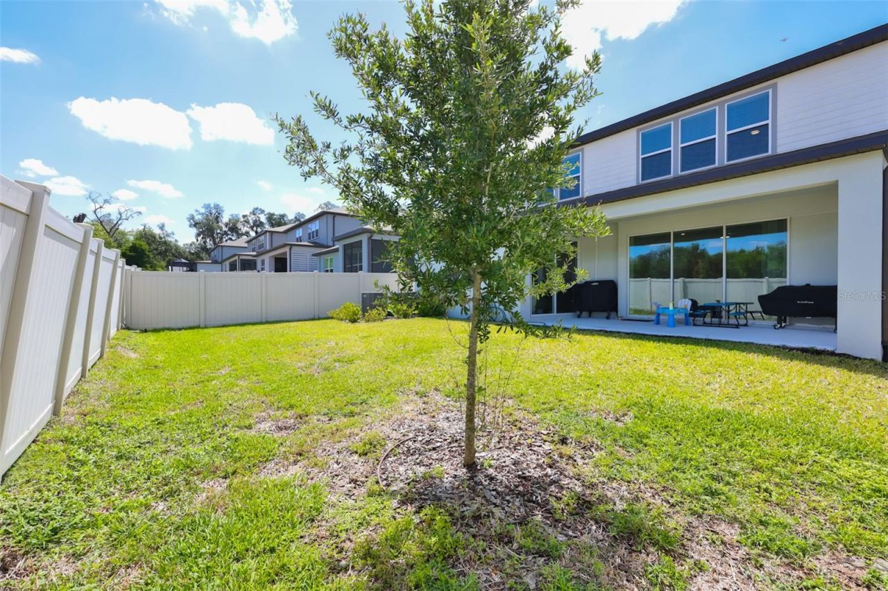 3070 Forest Meadow Avenue, Valrico, FL 33594 Photo