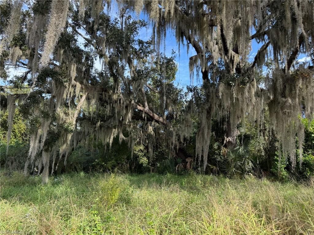 1445 S Florida Ave, Wauchula, FL 33873 Photo