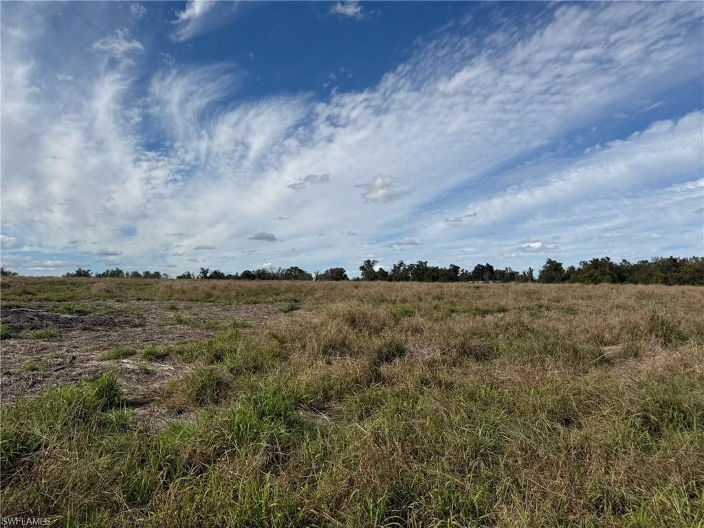 1445 S Florida Ave, Wauchula, FL 33873 Photo
