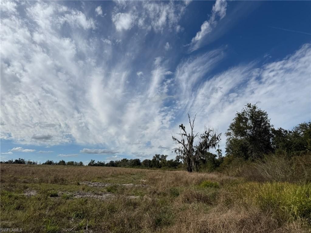 1445 S Florida Ave, Wauchula, FL 33873 Photo