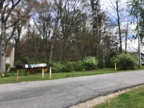 VL Pine Street, Dowagiac, MI 49047