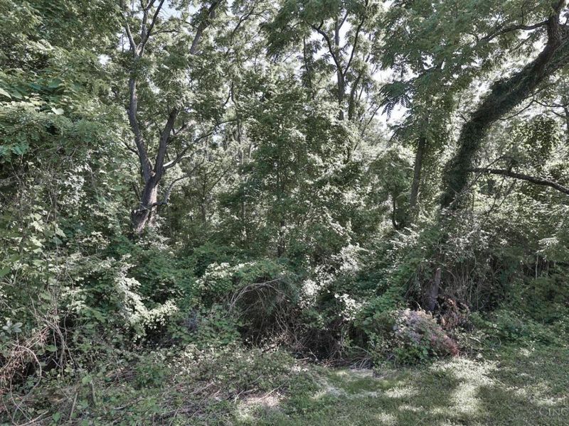 958 Hollytree Drive, Springfield Twp., OH 45231 Photo 42